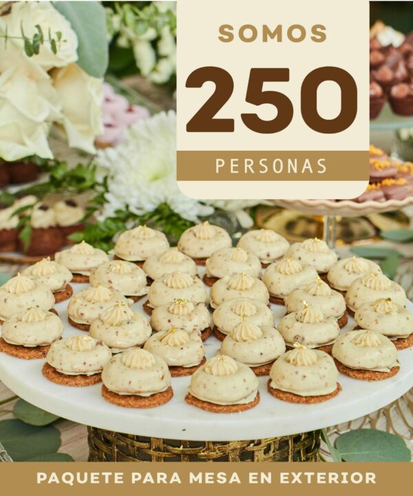 Paquete para eventos de 250 personas